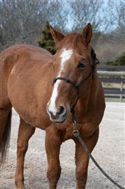 LR-WRF 0402026 Retreat-3066